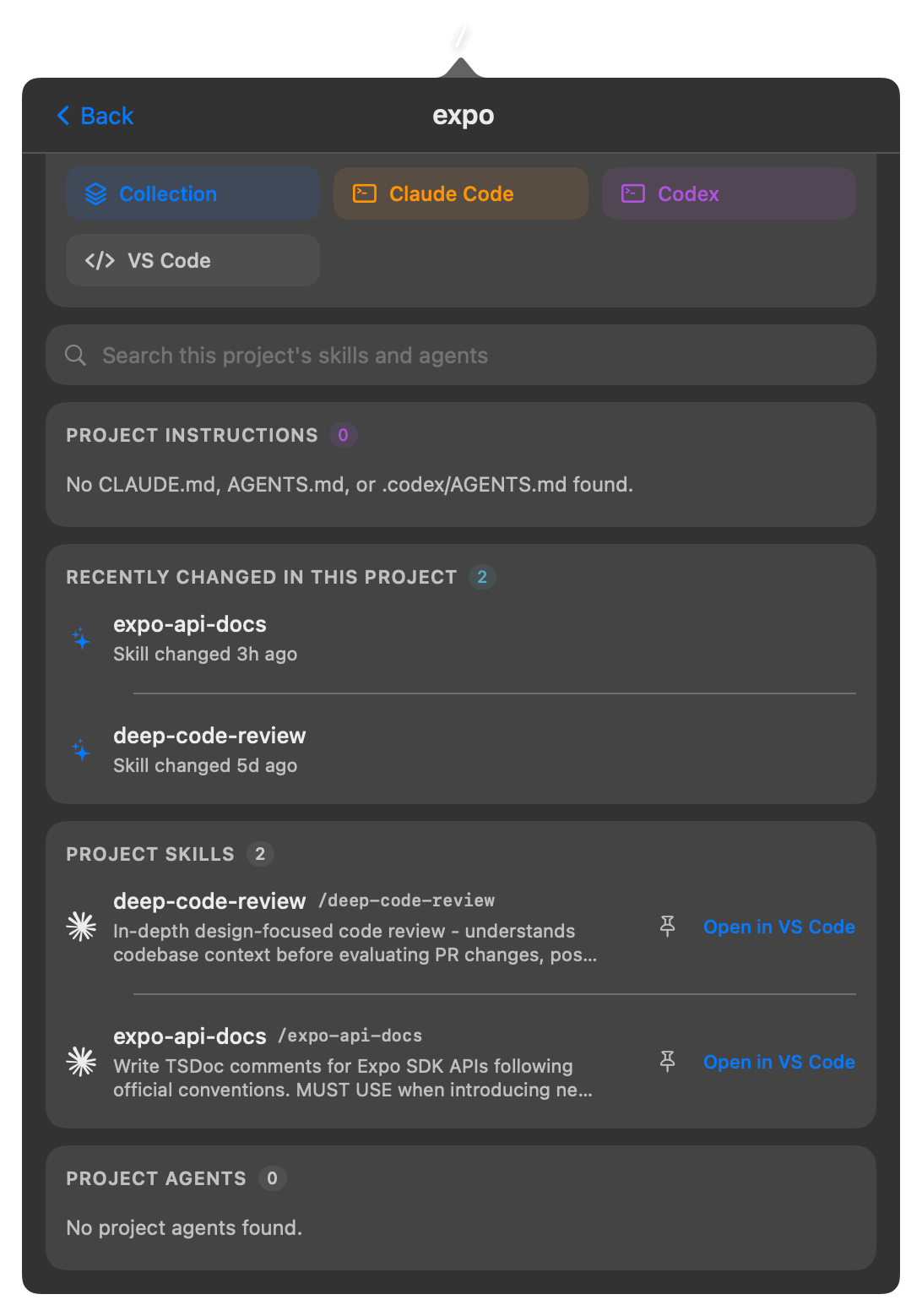 Project skills list with project-local skills and agents
